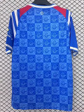 25/26 FC Hansa Rostock Home Fans Soccer Jersey