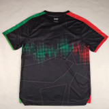 25/26 Palestino Deportivo Boeing Arabic Fans Soccer Jersey