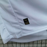 25/26 Galatasaray Away Fans Soccer Jersey(Advertisement)(带胸前广告五星）