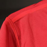 2012 Portugal Home Player Version Long Sleeve Retro Soccer Jersey (长袖球员)