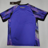 25/26 Botafogo Goalkeeper Purple Fans Soccer Jersey