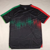25/26 Palestino Deportivo Boeing Arabic Fans Soccer Jersey