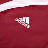 25/26 Bayern Red Hooded Windbreaker Tracksuit