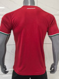 25/26 Hungary  Home Fans Soccer Jersey