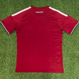 25/26 Hungary  Home Fans Soccer Jersey