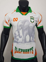 25/26 Cote d'Ivoire White Special Edition Player Version Soccer Jersey