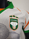 25/26 Cote d'Ivoire White Special Edition Player Version Soccer Jersey
