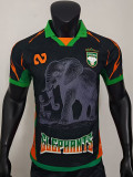 25/26 Cote d'Ivoire Black Special Edition Player Version Soccer Jersey