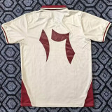 25/26 Palestine Arabic Special Edition Yellow &Red No#17 Fans Soccer Jersey(红领)