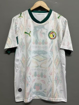 25/26 Senegal Home Fans Soccer Jersey
