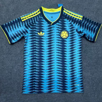 25/26 Colombia Away Fans Soccer Jersey