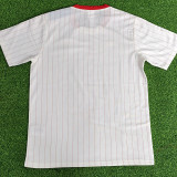 25/26 Benfica Retro Commemorative Edition White Player Version Soccer Jersey