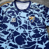 25/26 Málaga CF Special Edition Blue Fans Soccer Jersey