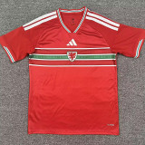 2026 Wales Home Fans Soccer Jersey