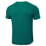 25/26 AD Green Player Version Training Short Suit#D2506