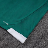 25/26 AD Green Player Version Training Short Suit#D2506
