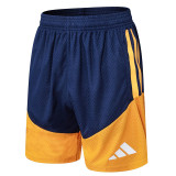 25/26 AD Royal Blue Player Version Training Short Suit#D2505