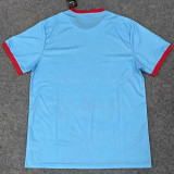 25/26 Napoli Christmas Edition Fans Soccer Jersey