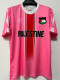 25/26 Palestine English Special Edition Pink Fans Soccer Jersey