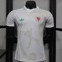 26/27 Wales Away Player Version Soccer Jersey