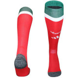 26/27 Mexico Home Fans socks