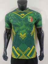 25/26 Mali Home Player Version Soccer Jersey