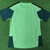 26/27 Mexico Special Edition Green Player Version Soccer Jersey#D2603