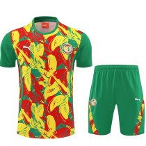 26/27 Seneg Green Training Shorts Suit