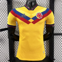 26/27 Colombia Special Edition Yellow Player Version Soccer Jersey