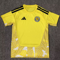 26/27 Wales Goalkeeper Yellow Fans Soccer Jersey