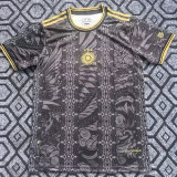 26/27 Argentina Special Edition Black Gold Fans Soccer Jersey