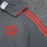 25/26 Bayern Dark Grey polo shirts pants suit