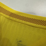 26/27 Gabonese Republic Home Player Version Soccer Jersey