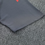 25/26 Bayern Grey Stripe polo shirts pants suit