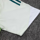 25/26 Al Ahli Light Green Training Short Suit#D25265