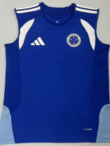 26/27 Cruzeiro Blue Training vest