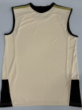 26/27 Flamengo Beige Training vest