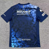 26/27 Avispa Fukuoka Home Fans Soccer Jersey 福冈黄蜂
