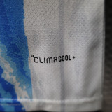 26/27 Argentina Special Edition Blue &White Player Version Soccer Jersey