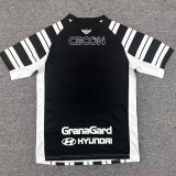 26/27 Libertad Asuncion Home Fans Soccer Jersey (亚松森自由）