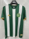 26/27 Chapecoense Home Fans Soccer Jersey