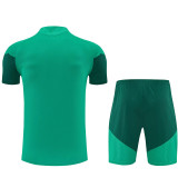 26/27 Algeria Green Training Shorts Suit