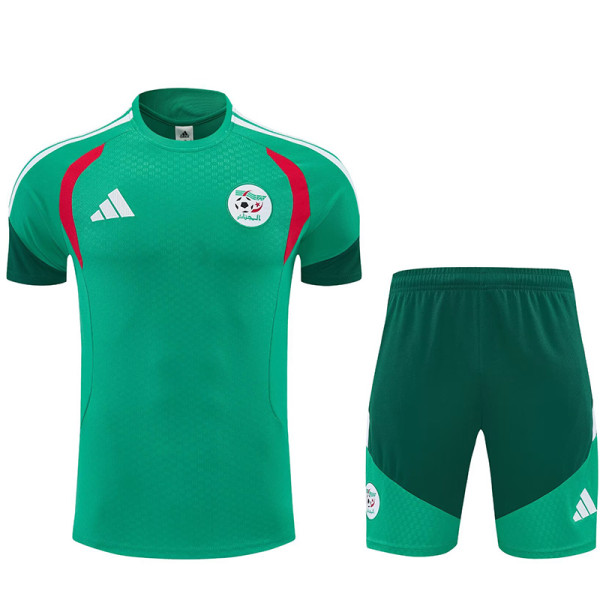 26/27 Algeria Green Training Shorts Suit