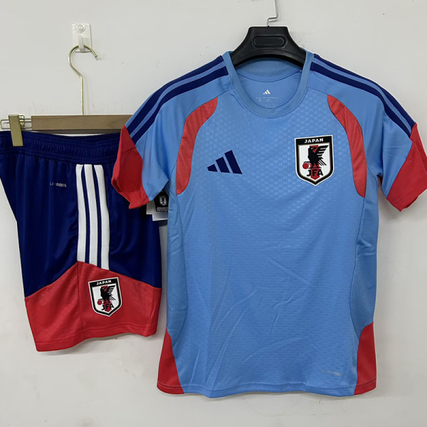 26/27 Japan Grey Training Short Suit