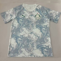 26/27 Palmeiras Grey Training Shirts