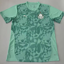 26/27 Palmeiras Goalkeeper Green Fans Soccer Jersey