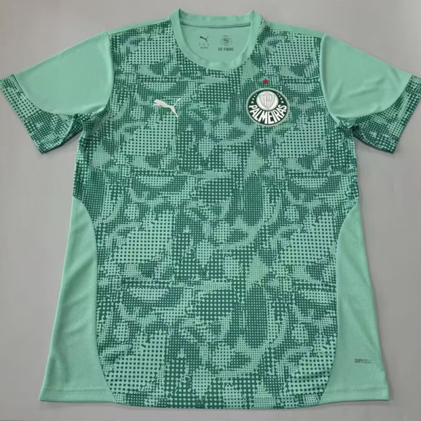 26/27 Palmeiras Goalkeeper Green Fans Soccer Jersey