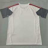 26/27 Internacional White Training shirts