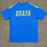 26/27 Brazil Blue Training Shirts