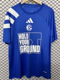 2026 Schalke 04 Declaration Edition Blue Fans Soccer Jersey